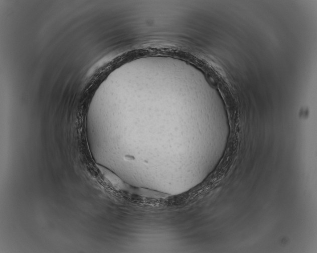 X0000090450920200708031214