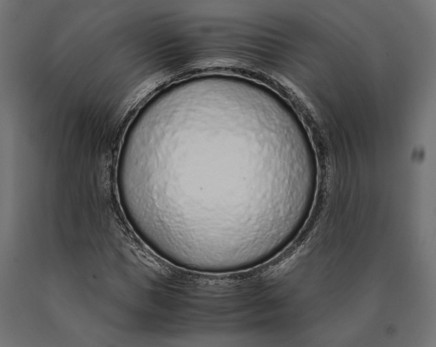 X0000090450921200708031214