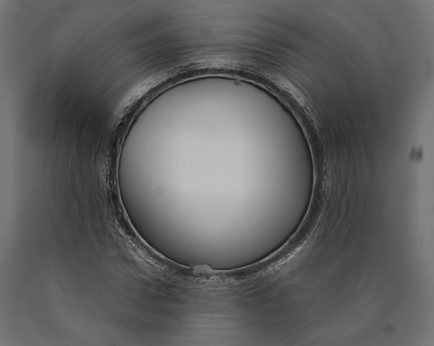 X0000090450922200708031214