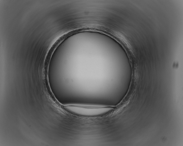 X0000090450924200708031214