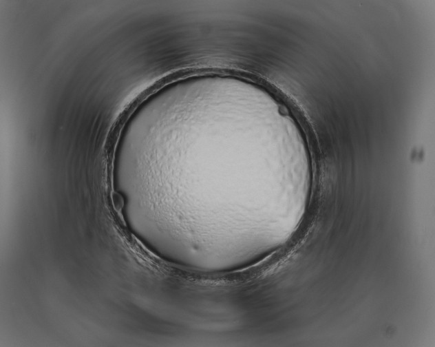 X0000090450925200708031214