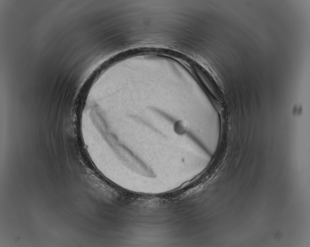 X0000090450926200708031214