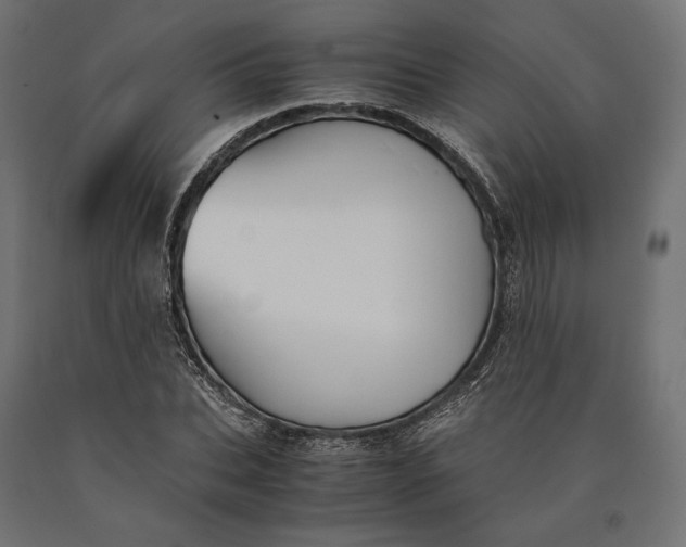 X0000090450927200708031214