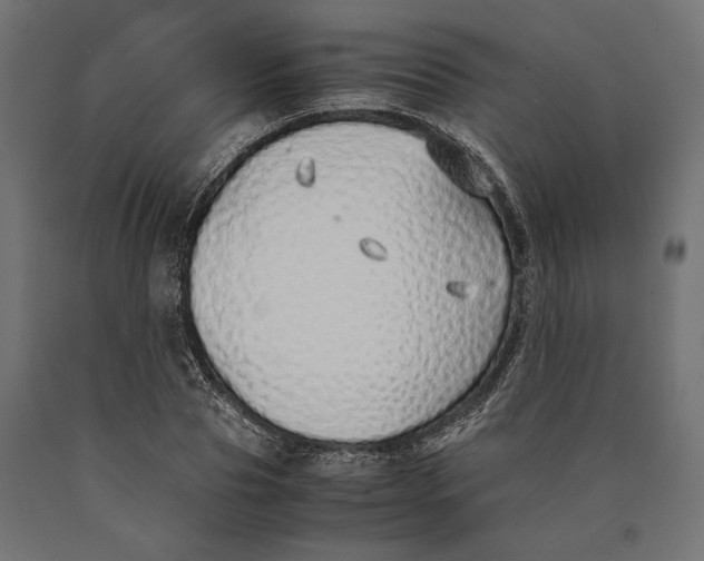 X0000090450929200708031214