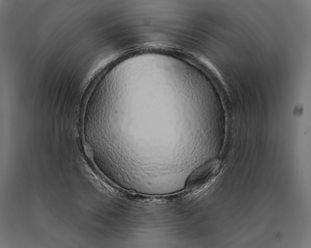 X0000090450930200708031214