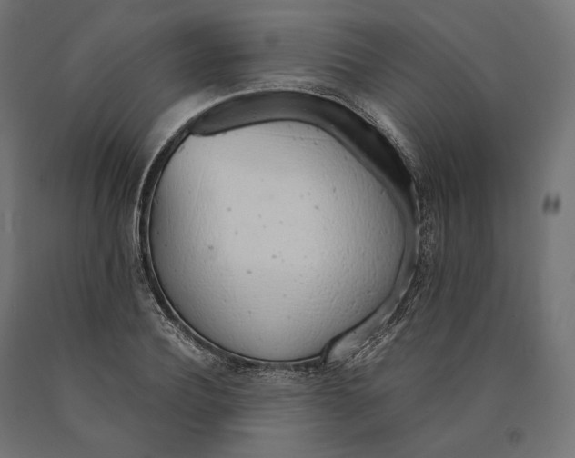 X0000090450932200708031214