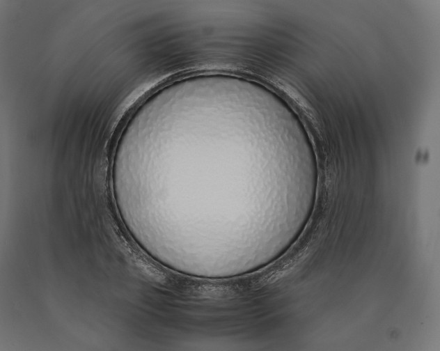 X0000090450933200708031214