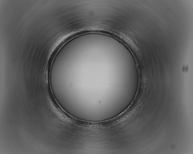 X0000090450934200708031214