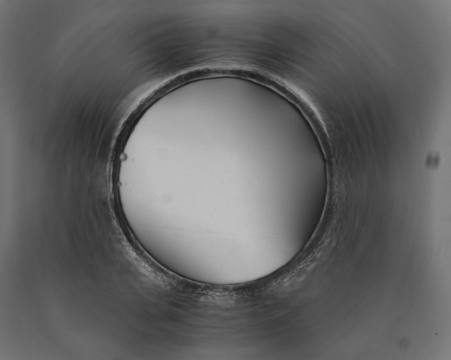 X0000090450935200708031214