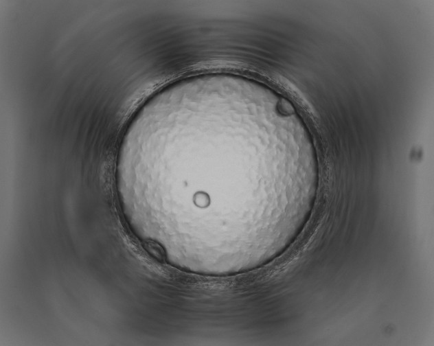 X0000090450937200708031214