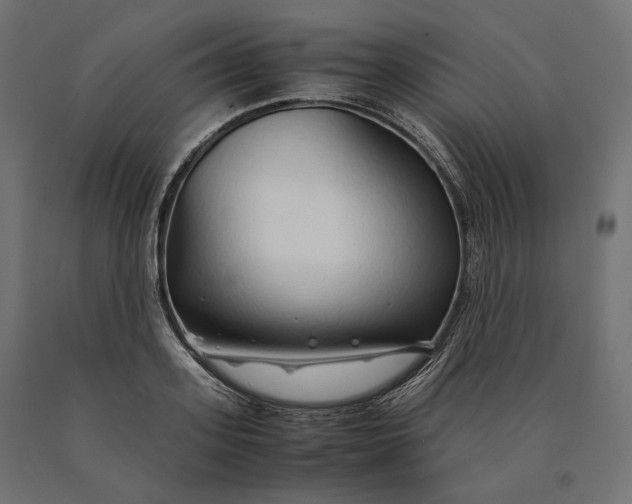 X0000090450939200708031214