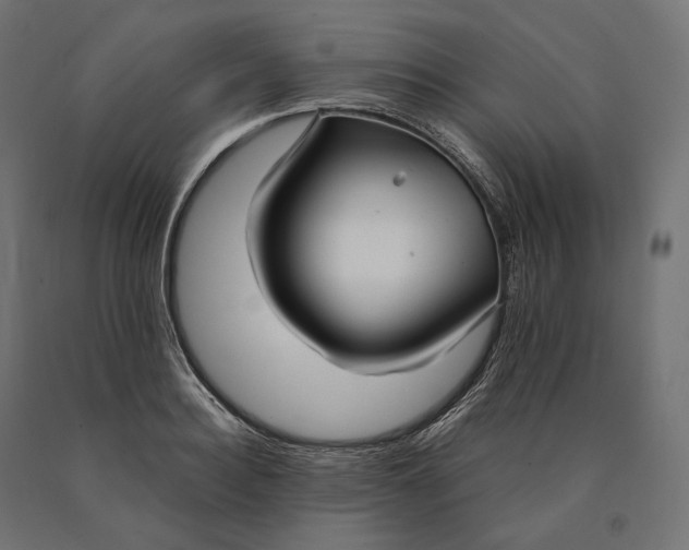 X0000090450940200708031214