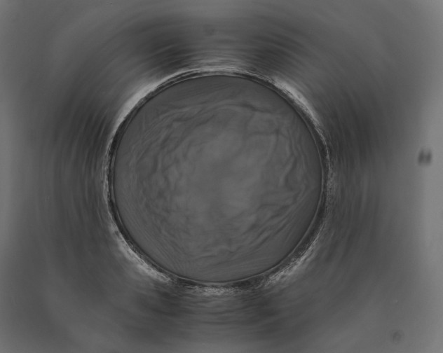 X0000090450941200708031214