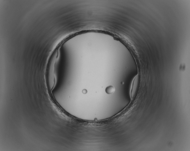 X0000090450942200708031214