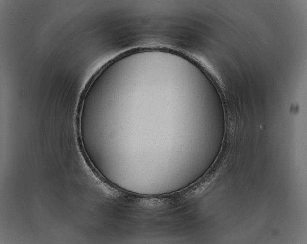 X0000090450943200708031214