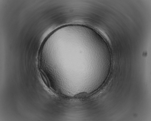 X0000090450944200708031214