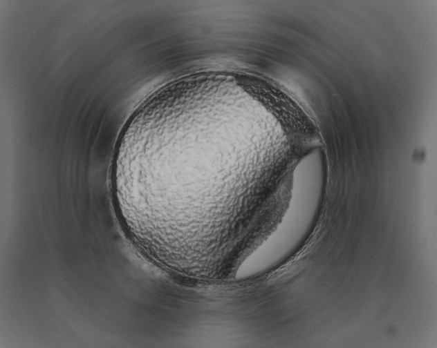 X0000090450946200708031214