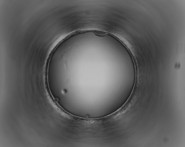 X0000090450949200708031214