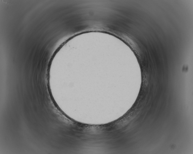 X0000090450950200708031214