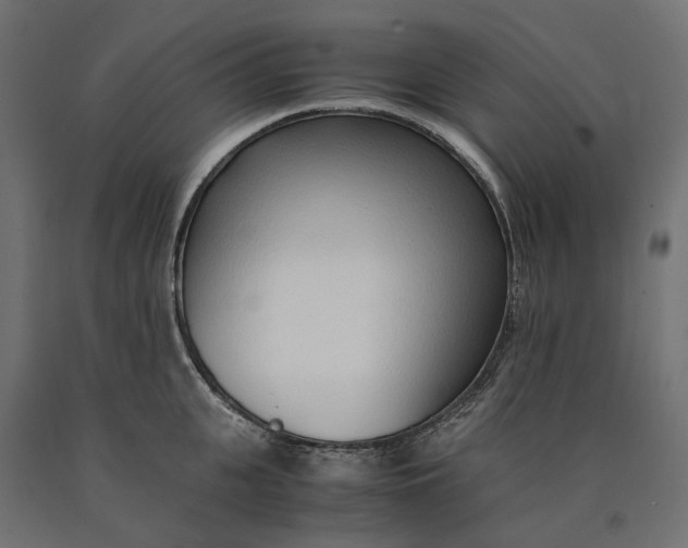 X0000090450951200708031214