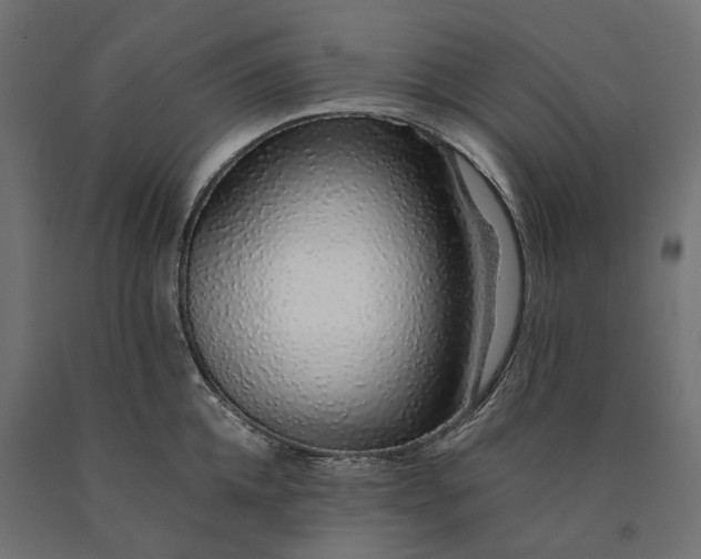 X0000090450952200708031214