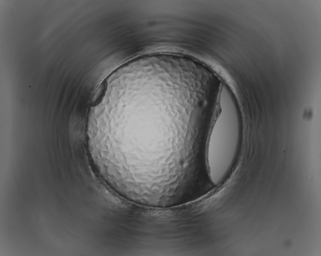 X0000090450953200708031214