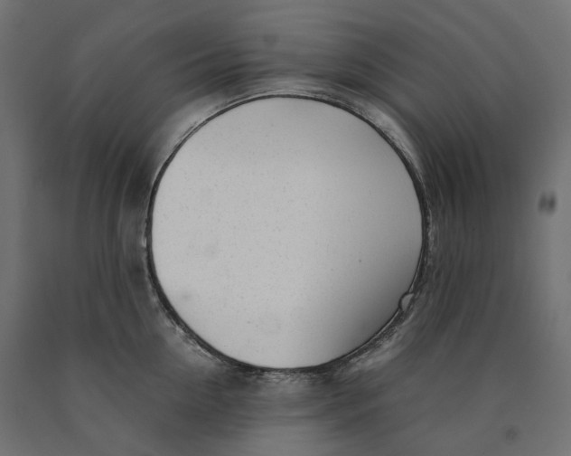 X0000090450954200708031214