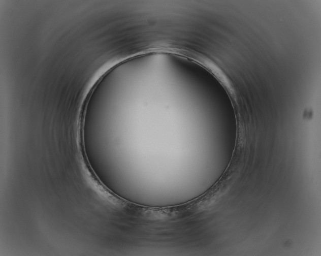 X0000090450955200708031214