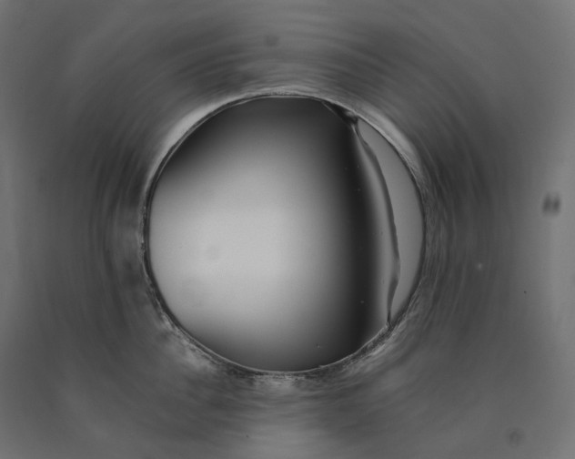 X0000090450956200708031214