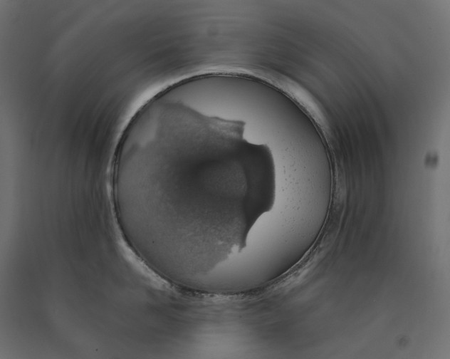 X0000090450958200708031214