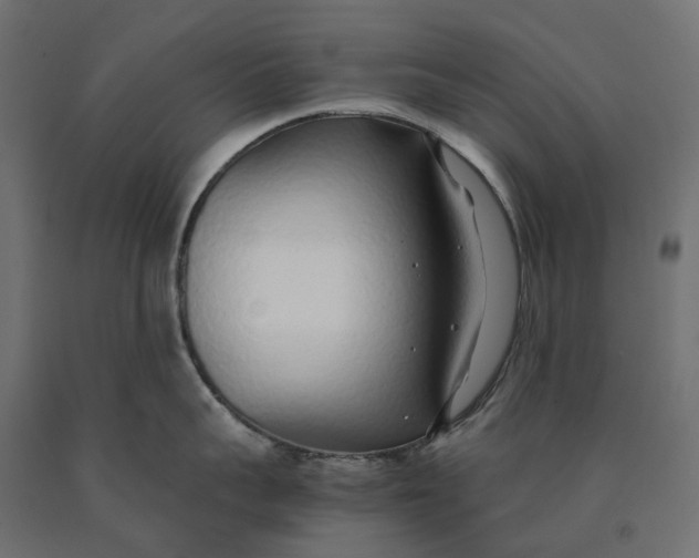 X0000090450959200708031214