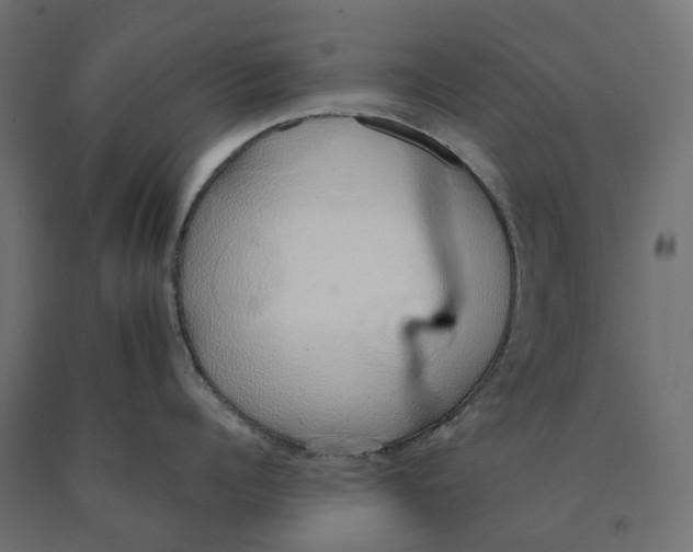 X0000090450960200708031214