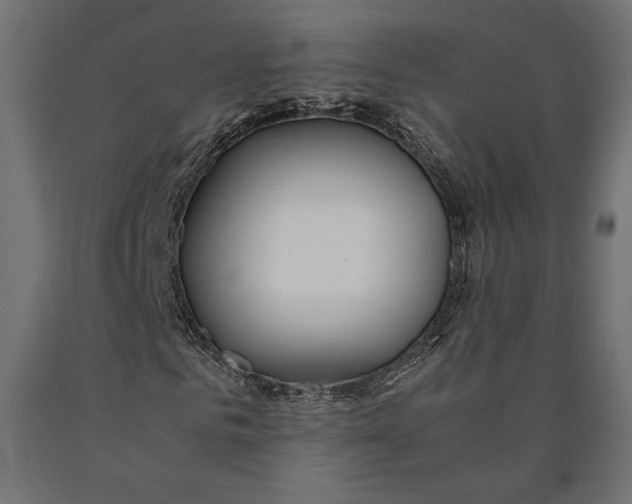 X0000090450961200708031214