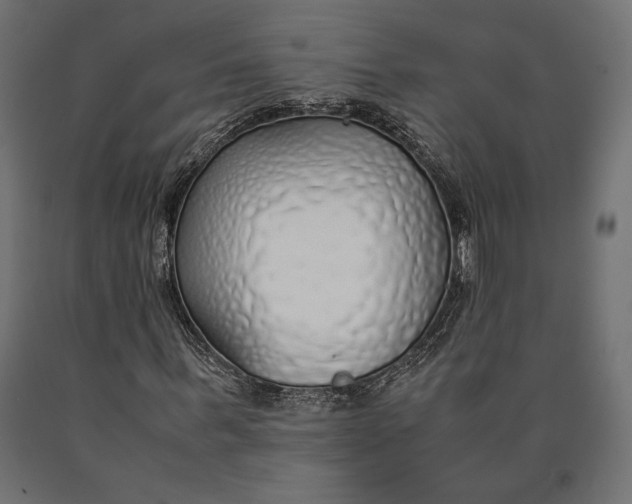 X0000090450963200708031214