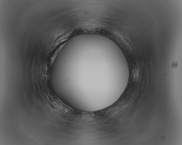 X0000090450964200708031214