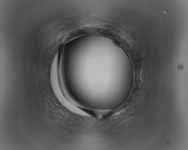 X0000090450965200708031214