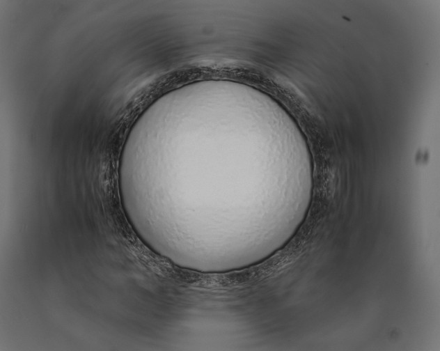 X0000090450966200708031214