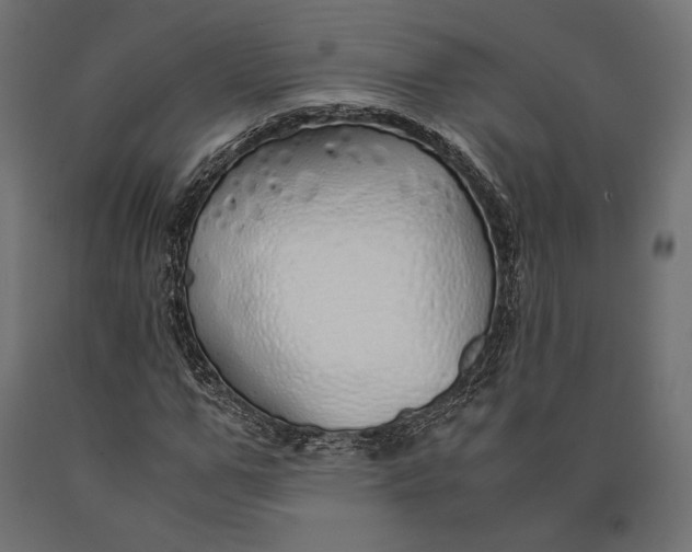 X0000090450967200708031214