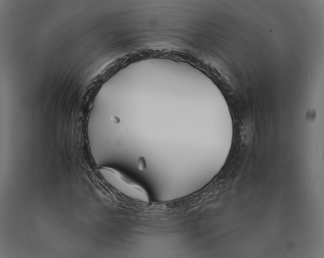 X0000090450968200708031214