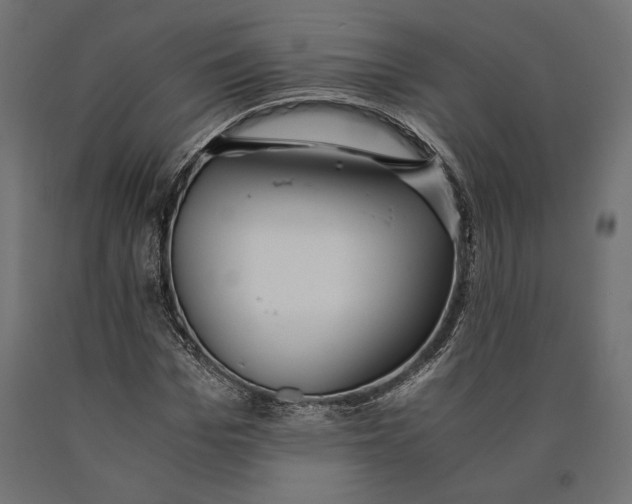 X0000090450969200708031214