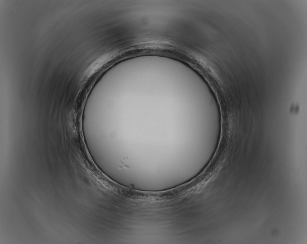 X0000090450970200708031214