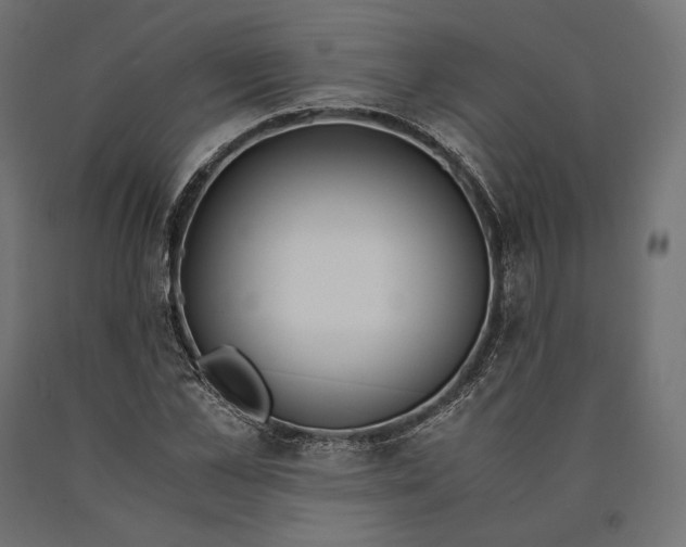 X0000090450973200708031214