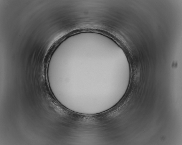 X0000090450974200708031214