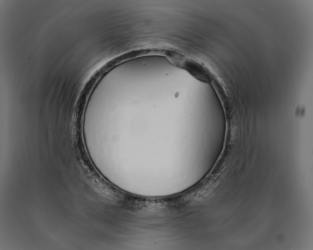 X0000090450975200708031214