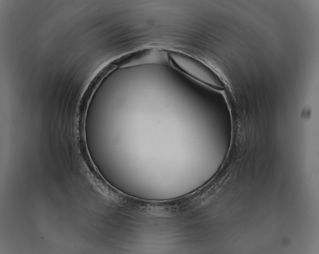 X0000090450976200708031214