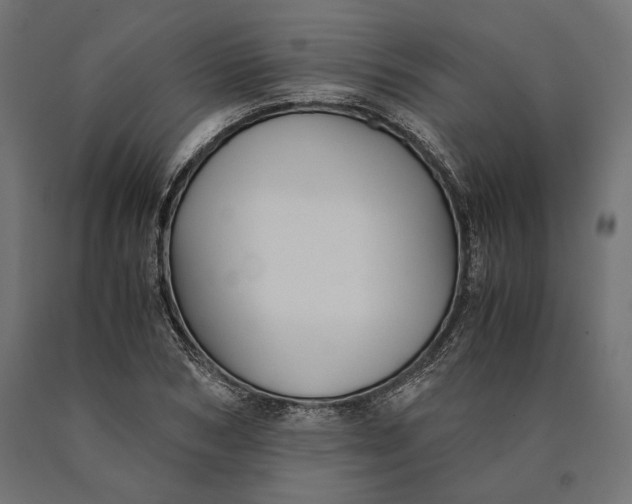 X0000090450978200708031213