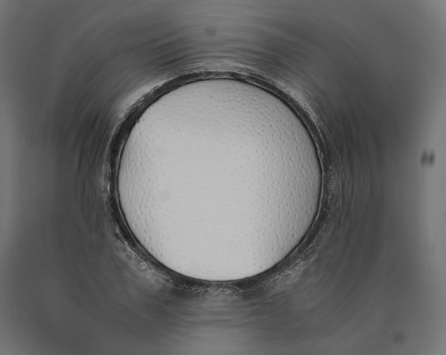 X0000090450979200708031213