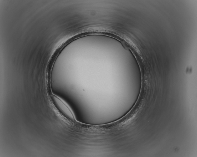 X0000090450981200708031213