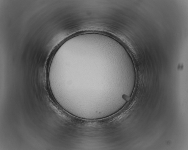 X0000090450982200708031213