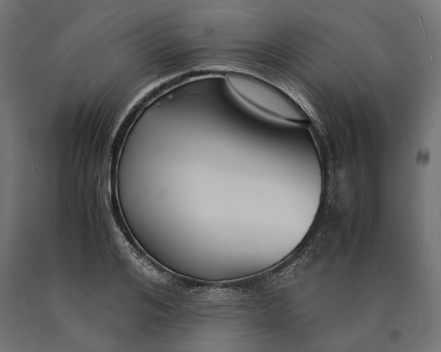 X0000090450984200708031213